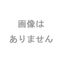 SS-3.0F　SS-250F用中厚切用スライス円盤 (2枚刃)(3.0mm厚)