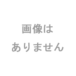 リンナイ ガス赤外線グリラー (下火タイプ) 荒磯用 耐熱ガラス 051-114-000