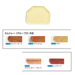 キャンブロ トラペゾイドトレー(FRP)  ETL-01 204 ラタン 1418TR