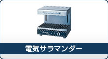 電気サラマンダー
